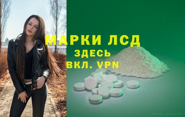 шишки Елизово