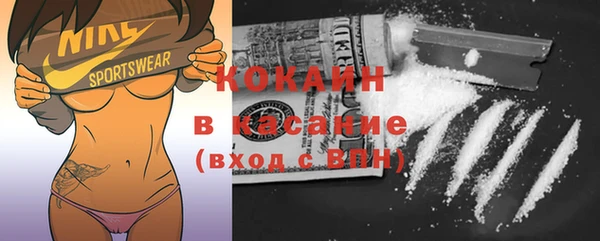 шишки Елизово
