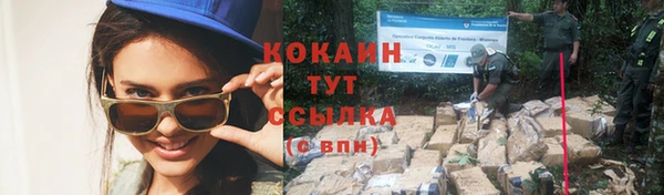 шишки Елизово