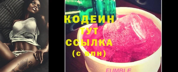 шишки Елизово