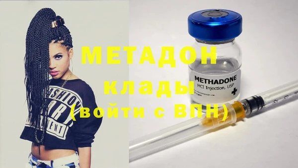 шишки Елизово