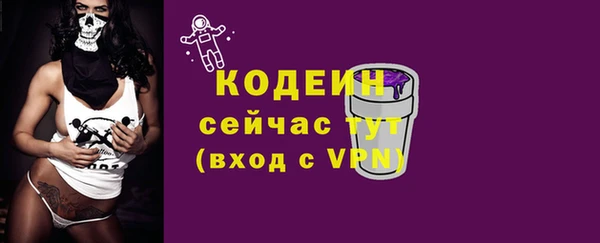 шишки Елизово