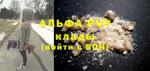 ПСИЛОЦИБИНОВЫЕ ГРИБЫ Ельня