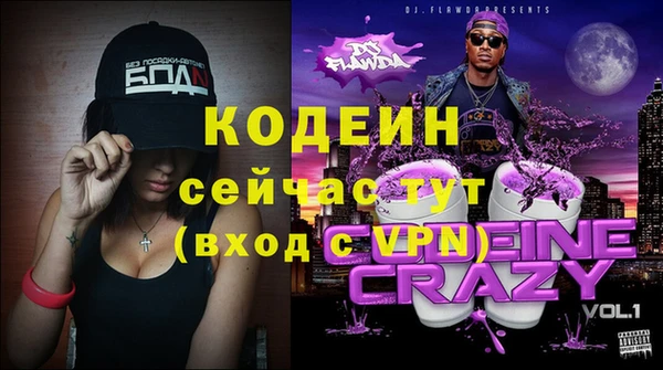 ПСИЛОЦИБИНОВЫЕ ГРИБЫ Ельня