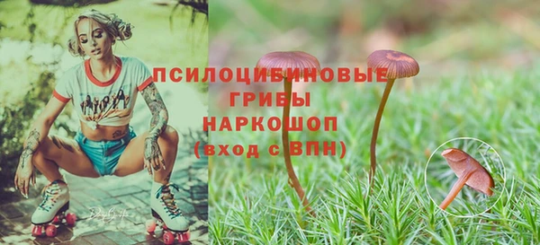 ECSTASY Елабуга
