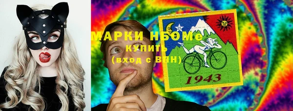 ПСИЛОЦИБИНОВЫЕ ГРИБЫ Ельня