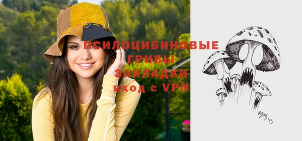 шишки Елизово