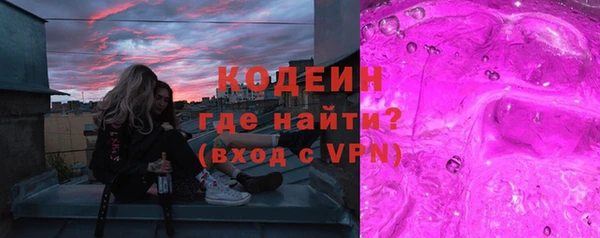 шишки Елизово